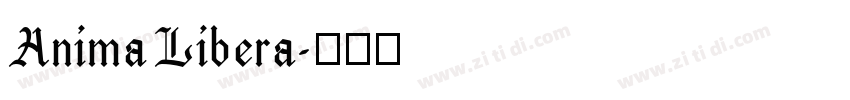 Anima Libera字体转换 Anima Libera字体转换